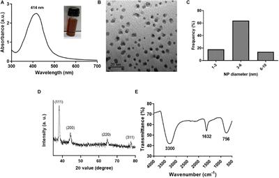 Silver Nanoparticles Induce a Triclosan-Like Antibacterial Action Mechanism in Multi-Drug Resistant Klebsiella pneumoniae